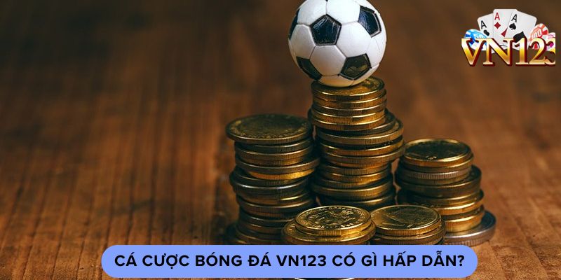 Cá cược bóng đá vn123 có gì hấp dẫn?